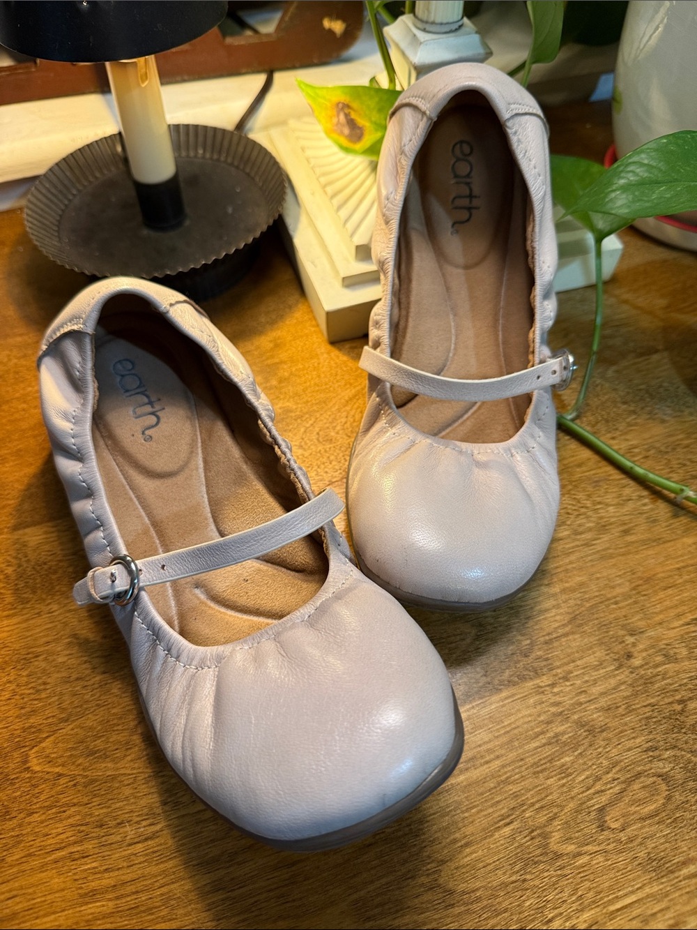 Earth Woman’s  Mary Jane Flats in light pink